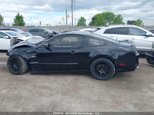 Продажа на аукционе авто 2014 Ford Mustang Gt, vin: 1ZVBP8CF8E5216141, номер лота: 12630739