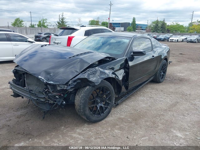 Продажа на аукционе авто 2014 Ford Mustang Gt, vin: 1ZVBP8CF8E5216141, номер лота: 12630739
