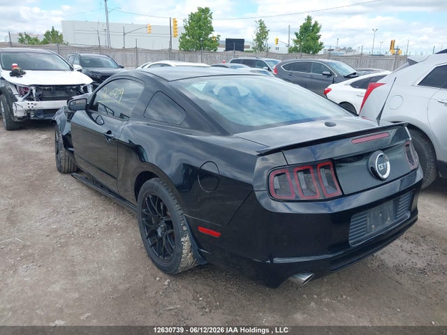 Продажа на аукционе авто 2014 Ford Mustang Gt, vin: 1ZVBP8CF8E5216141, номер лота: 12630739