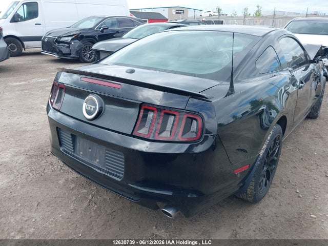 Продажа на аукционе авто 2014 Ford Mustang Gt, vin: 1ZVBP8CF8E5216141, номер лота: 12630739