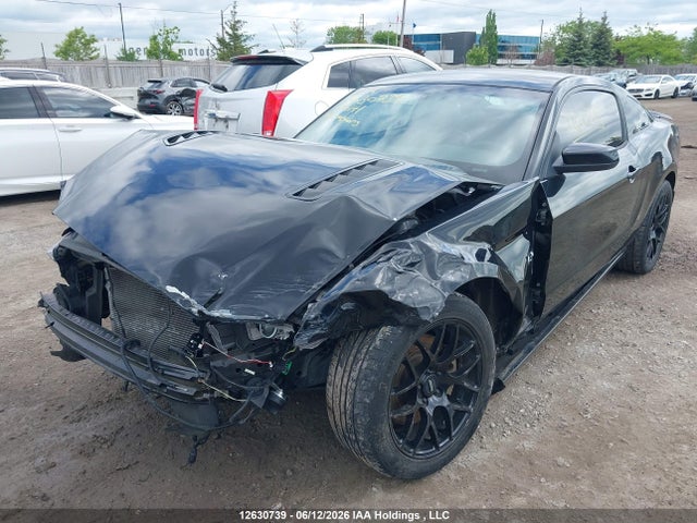Продажа на аукционе авто 2014 Ford Mustang Gt, vin: 1ZVBP8CF8E5216141, номер лота: 12630739