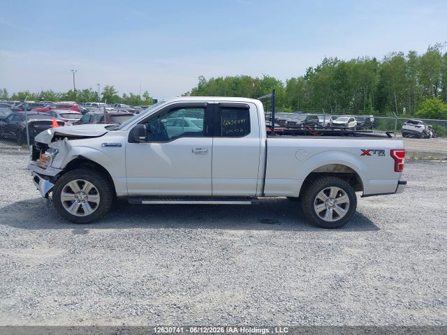 Ford F-150 Xlt 2019 1FTFX1E55KKE01194 Image 14
