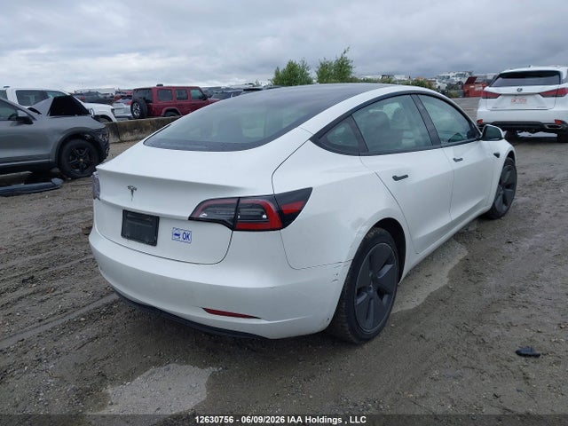 Tesla MODEL 3 2023 5YJ3E1EAXPF436016 Image 4