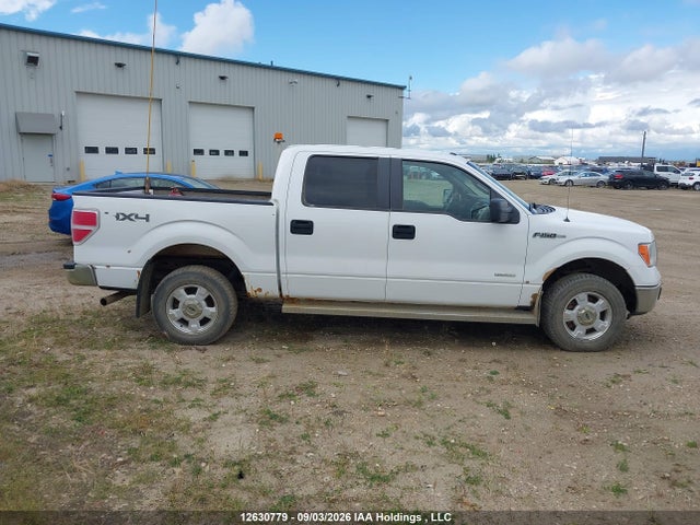 Продаж на аукціоні авто 2014 Ford F150 Supercrew, vin: 1FTFW1ET1EKE60099, номер лоту: 12630779