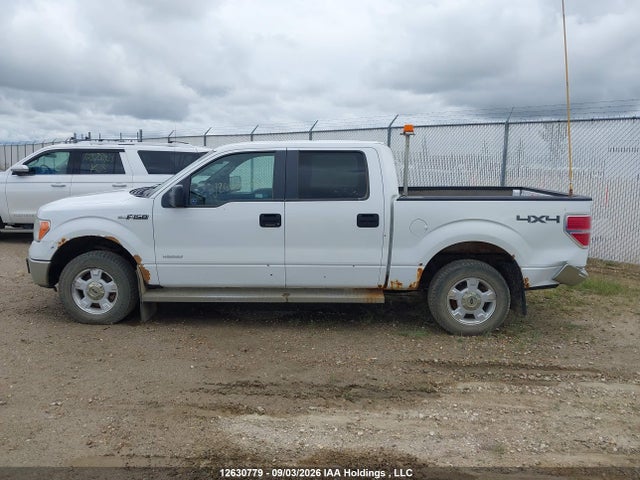 Продаж на аукціоні авто 2014 Ford F150 Supercrew, vin: 1FTFW1ET1EKE60099, номер лоту: 12630779