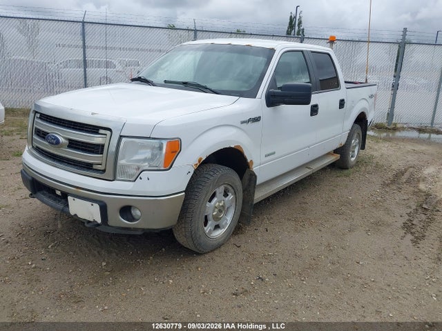 Продаж на аукціоні авто 2014 Ford F150 Supercrew, vin: 1FTFW1ET1EKE60099, номер лоту: 12630779