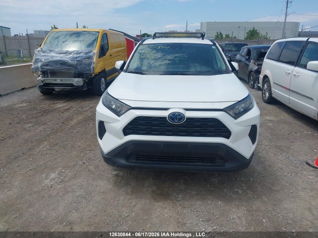 2019 Toyota Rav4 Le მანქანა იყიდება აუქციონზე, vin: 2T3BWRFV7KW029153, აუქციონის ნომერი: 12630844