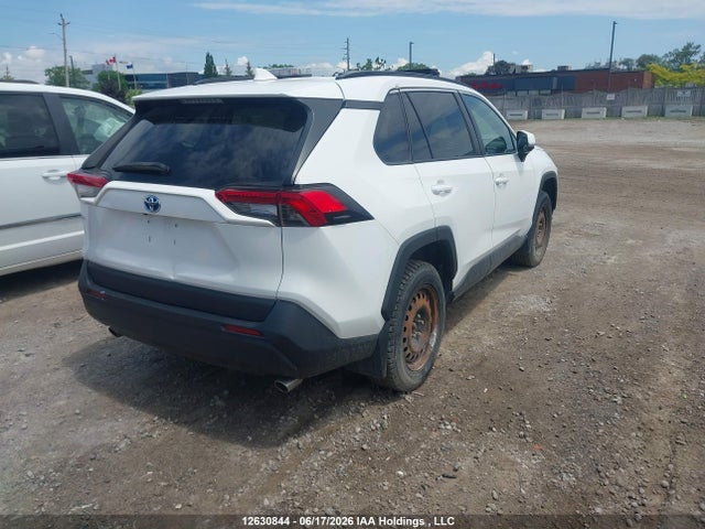 2019 Toyota Rav4 Le მანქანა იყიდება აუქციონზე, vin: 2T3BWRFV7KW029153, აუქციონის ნომერი: 12630844