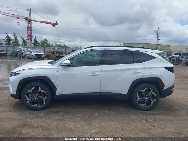 2024 Hyundai Tucson Ultimate Plug-in Hybrid Awd მანქანა იყიდება აუქციონზე, vin: KM8JDDD23RU156692, აუქციონის ნომერი: 12630984