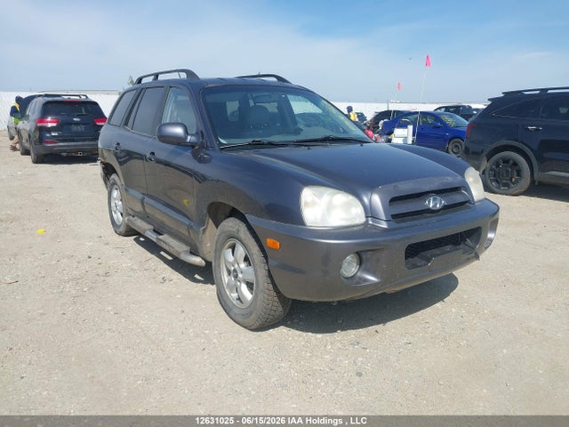 2006 Hyundai Santa Fe Gls/limited მანქანა იყიდება აუქციონზე, vin: KM8SB73D16U046394, აუქციონის ნომერი: 12631025