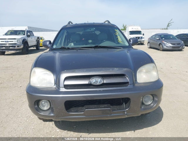 2006 Hyundai Santa Fe Gls/limited მანქანა იყიდება აუქციონზე, vin: KM8SB73D16U046394, აუქციონის ნომერი: 12631025