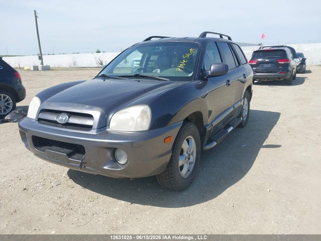 2006 Hyundai Santa Fe Gls/limited მანქანა იყიდება აუქციონზე, vin: KM8SB73D16U046394, აუქციონის ნომერი: 12631025