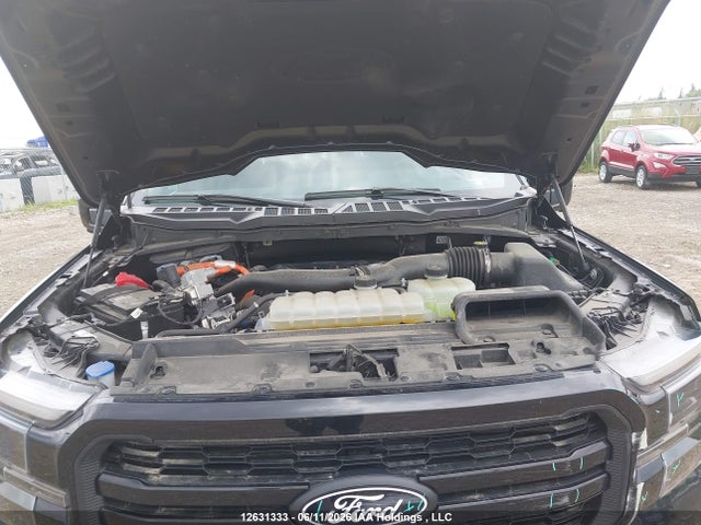 Aukcja sprzedaży 2024 Ford F-150, vin: 1FTFW5LD7RFC07970, numer aukcji: 12631333