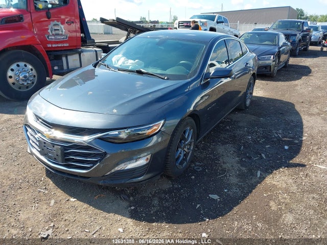 Продажа на аукционе авто 2019 Chevrolet Malibu, vin: 1G1ZD5ST0KF220747, номер лота: 12631388