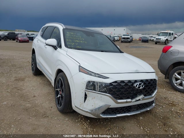 2023 Hyundai Santa Fe Calligraphy მანქანა იყიდება აუქციონზე, vin: 5NMS5DAL1PH535889, აუქციონის ნომერი: 12631407