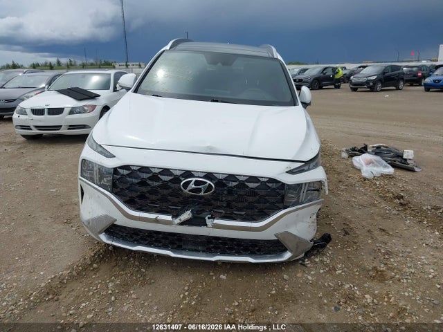 Продаж на аукціоні авто 2023 Hyundai Santa Fe Calligraphy, vin: 5NMS5DAL1PH535889, номер лоту: 12631407