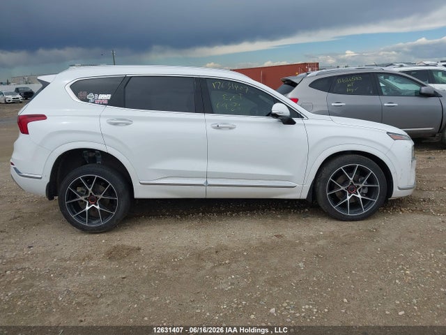 Продаж на аукціоні авто 2023 Hyundai Santa Fe Calligraphy, vin: 5NMS5DAL1PH535889, номер лоту: 12631407