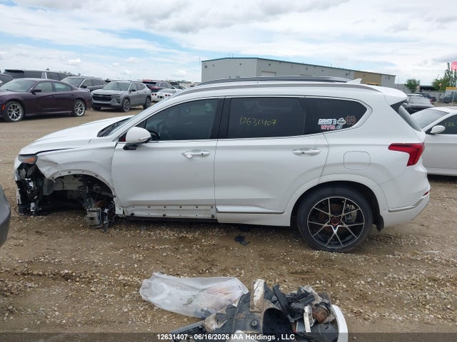 Продаж на аукціоні авто 2023 Hyundai Santa Fe Calligraphy, vin: 5NMS5DAL1PH535889, номер лоту: 12631407