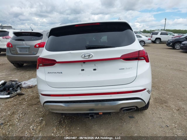 Продаж на аукціоні авто 2023 Hyundai Santa Fe Calligraphy, vin: 5NMS5DAL1PH535889, номер лоту: 12631407
