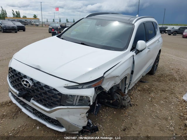 Продаж на аукціоні авто 2023 Hyundai Santa Fe Calligraphy, vin: 5NMS5DAL1PH535889, номер лоту: 12631407