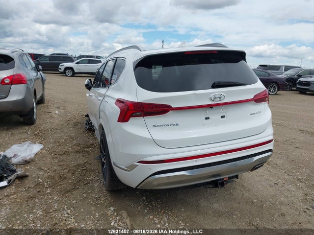 Продаж на аукціоні авто 2023 Hyundai Santa Fe Calligraphy, vin: 5NMS5DAL1PH535889, номер лоту: 12631407