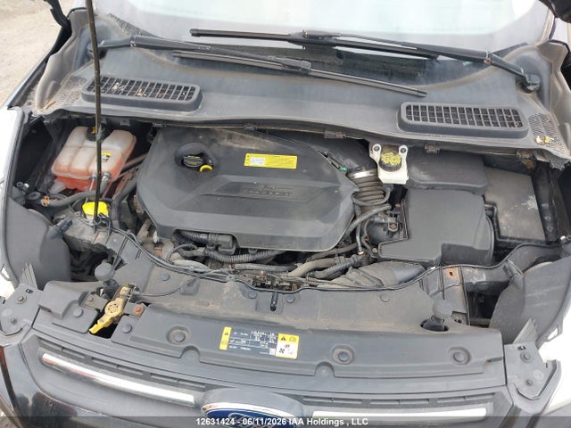 Продажа на аукционе авто 2013 Ford Escape, vin: 1FMCU0GX2DUA69352, номер лота: 12631424