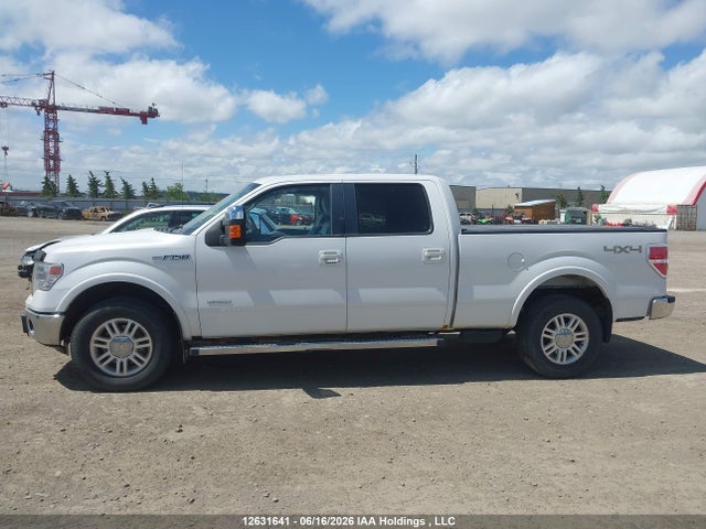 Продаж на аукціоні авто 2013 Ford F150 Supercrew, vin: 1FTFW1ETXDFD06790, номер лоту: 12631641