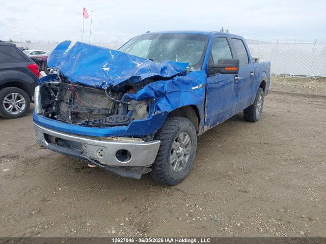 Auction sale of the 2012 Ford F-150 Xlt, vin: 1FTFW1EF8CFB77747, lot number: 12627046
