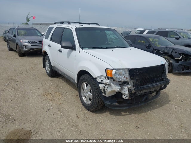 2009 Ford Escape Xlt მანქანა იყიდება აუქციონზე, vin: 1FMCU93719KB45740, აუქციონის ნომერი: 12631654