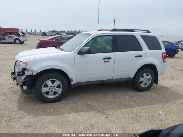 2009 Ford Escape Xlt მანქანა იყიდება აუქციონზე, vin: 1FMCU93719KB45740, აუქციონის ნომერი: 12631654
