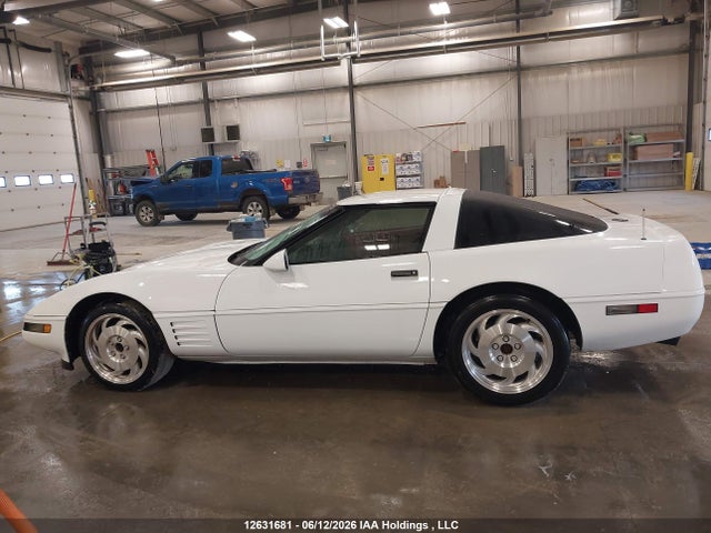 Продаж на аукціоні авто 1993 Chevrolet Corvette, vin: 1G1YY23P0P5112447, номер лоту: 12631681