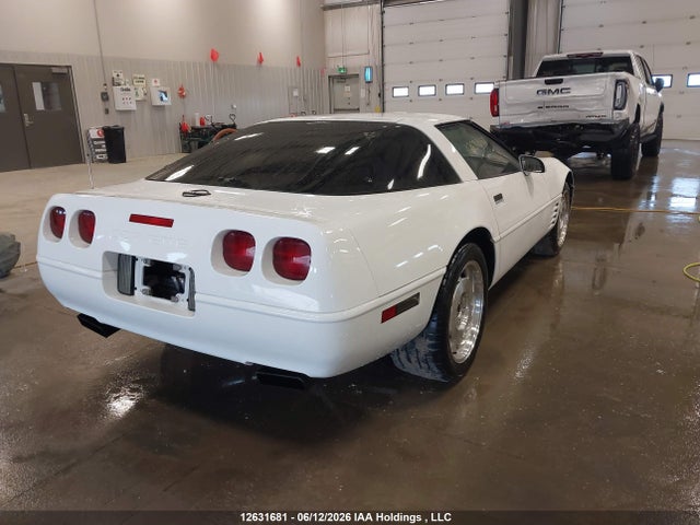 Продаж на аукціоні авто 1993 Chevrolet Corvette, vin: 1G1YY23P0P5112447, номер лоту: 12631681