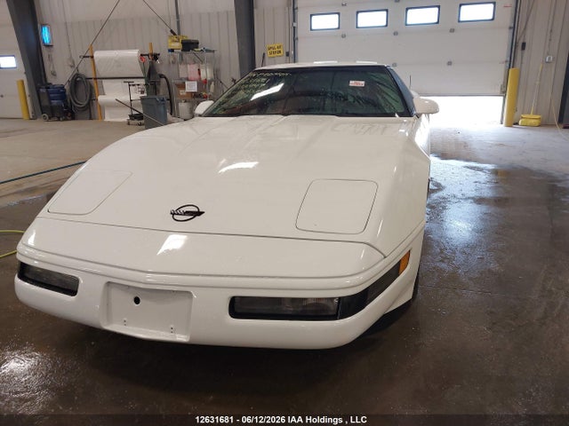 Продаж на аукціоні авто 1993 Chevrolet Corvette, vin: 1G1YY23P0P5112447, номер лоту: 12631681