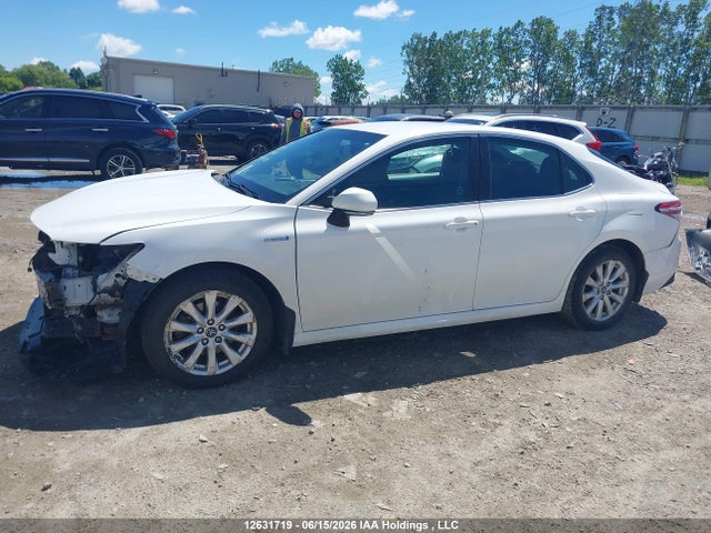 2018 Toyota Camry Hybrid Le მანქანა იყიდება აუქციონზე, vin: 4T1B31HK1JU002583, აუქციონის ნომერი: 12631719