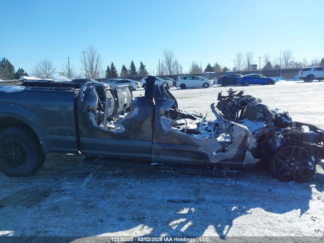 1FTFW1E44LFB57882 Ford F-150 Xlt