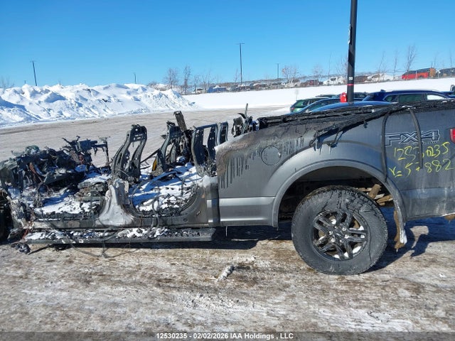 1FTFW1E44LFB57882 Ford F-150 Xlt