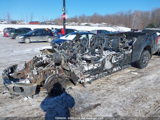 1FTFW1E44LFB57882 Ford F-150 Xlt