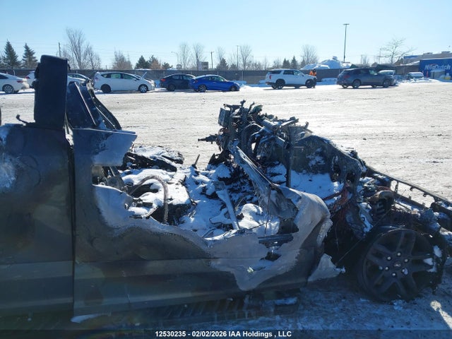 1FTFW1E44LFB57882 Ford F-150 Xlt