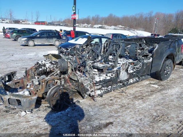 1FTFW1E44LFB57882 Ford F-150 Xlt