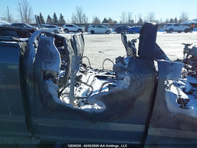 1FTFW1E44LFB57882 Ford F-150 Xlt