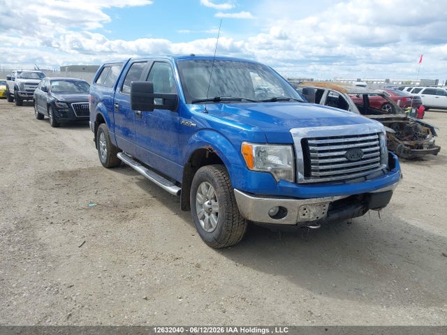 Продажа на аукционе авто 2012 Ford F150 Supercrew, vin: 1FTFW1EFXCKD62924, номер лота: 12632040