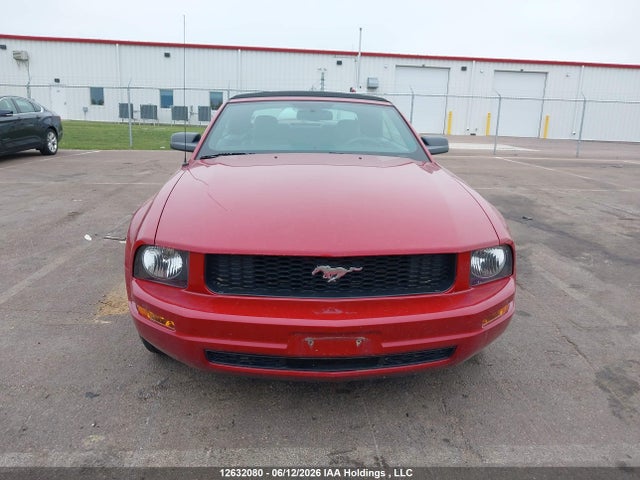 Продажа на аукционе авто 2009 Ford Mustang V6, vin: 1ZVHT84N595111591, номер лота: 12632080