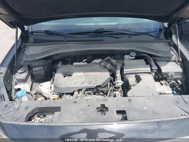 Aukcja sprzedaży 2019 Hyundai Santa Fe Sel/sel Plus, vin: 5NMS3CAAXKH113689, numer aukcji: 12632259