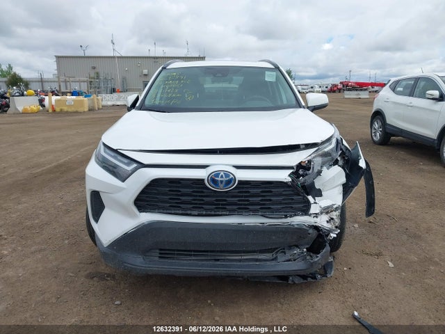 Продаж на аукціоні авто 2024 Toyota Rav4 Xle/woodland Edition, vin: 2T3RWRFVXRW211423, номер лоту: 12632391