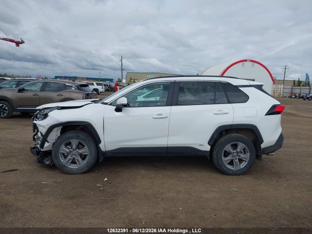 Продаж на аукціоні авто 2024 Toyota Rav4 Xle/woodland Edition, vin: 2T3RWRFVXRW211423, номер лоту: 12632391