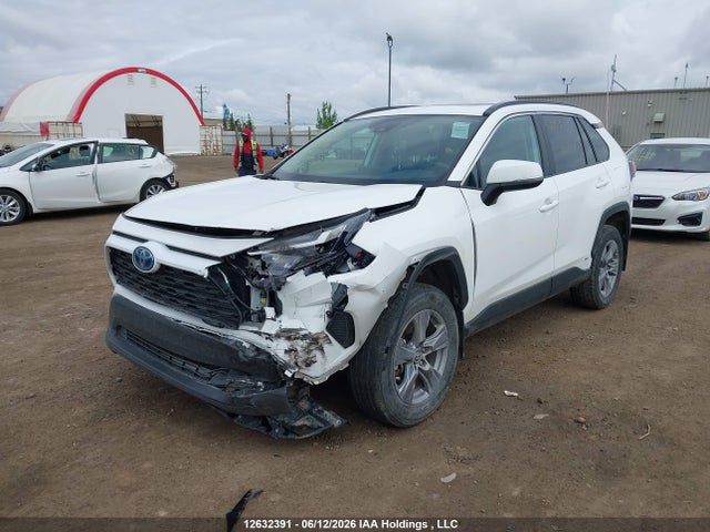 Продаж на аукціоні авто 2024 Toyota Rav4 Xle/woodland Edition, vin: 2T3RWRFVXRW211423, номер лоту: 12632391