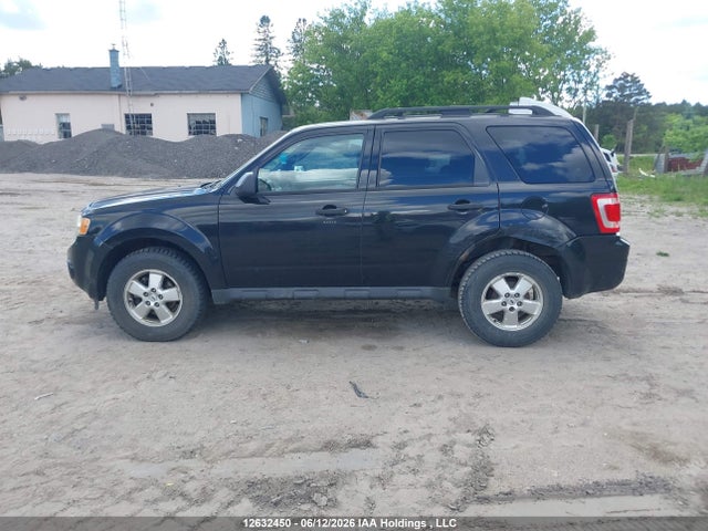 2011 Ford Escape Xlt მანქანა იყიდება აუქციონზე, vin: 1FMCU0D76BKB67801, აუქციონის ნომერი: 12632450