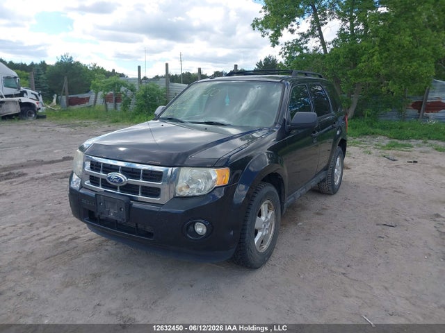 2011 Ford Escape Xlt მანქანა იყიდება აუქციონზე, vin: 1FMCU0D76BKB67801, აუქციონის ნომერი: 12632450