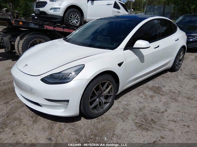 Tesla MODEL 3 2021 5YJ3E1EA8MF856966 Image 2