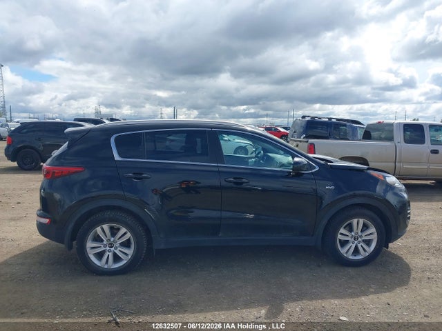 Продаж на аукціоні авто 2017 Kia Sportage Lx, vin: KNDPMCAC0H7286545, номер лоту: 12632507